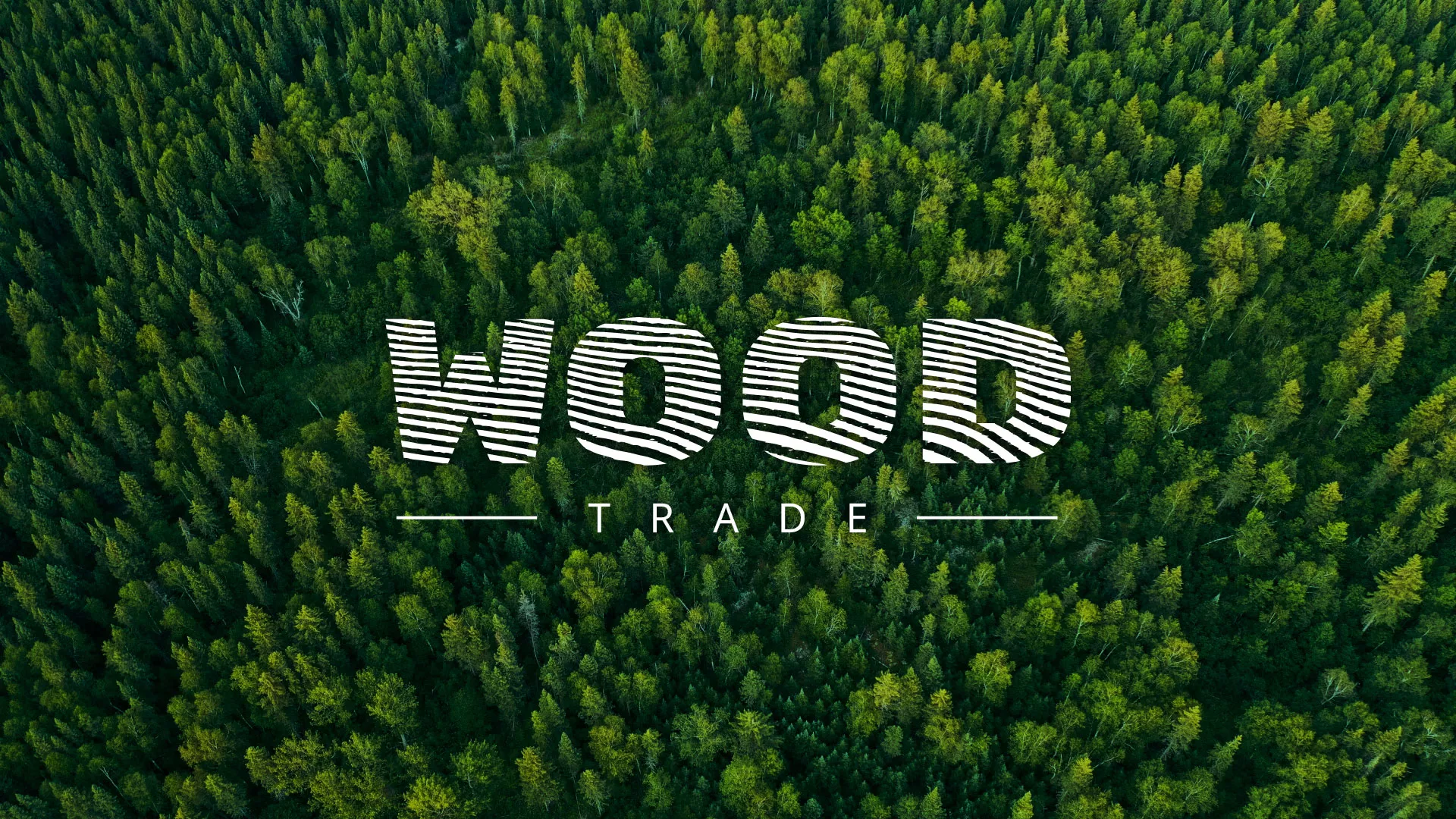 Разработка интернет-магазина компании «Wood Trade» в Бакале
